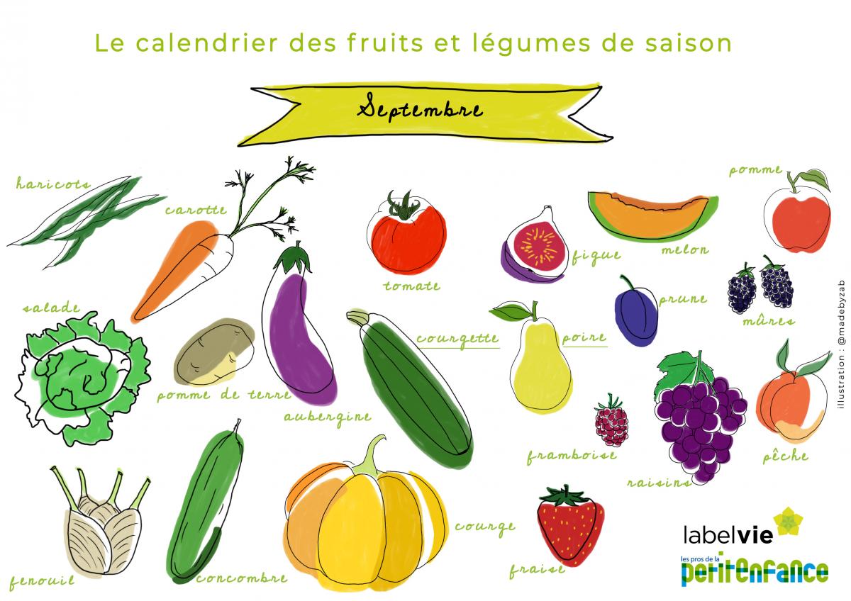 Le calendrier des fruits et légumes de Septembre