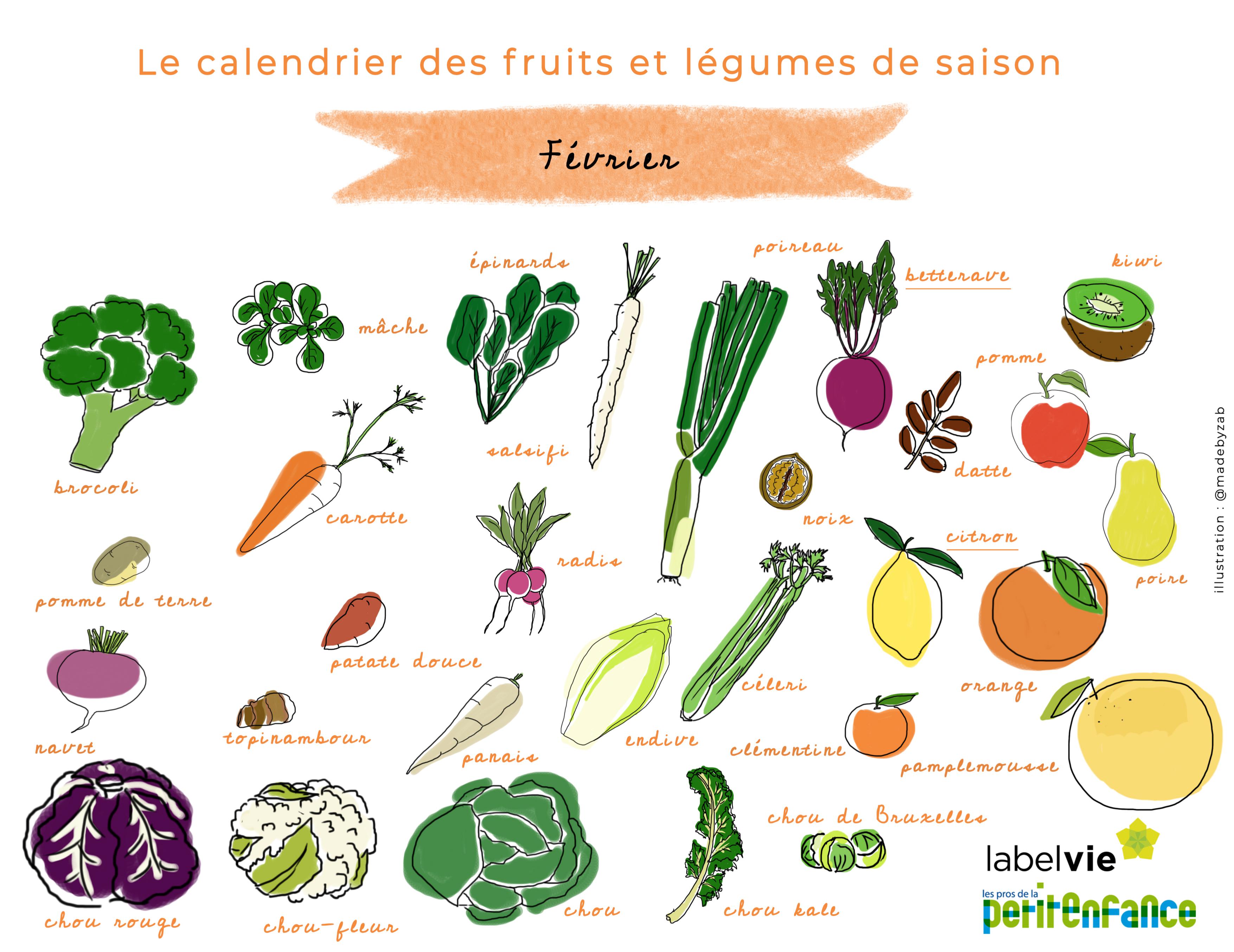 Le calendrier des fruits et légumes de Février : betterave et citron à  l'honneur !