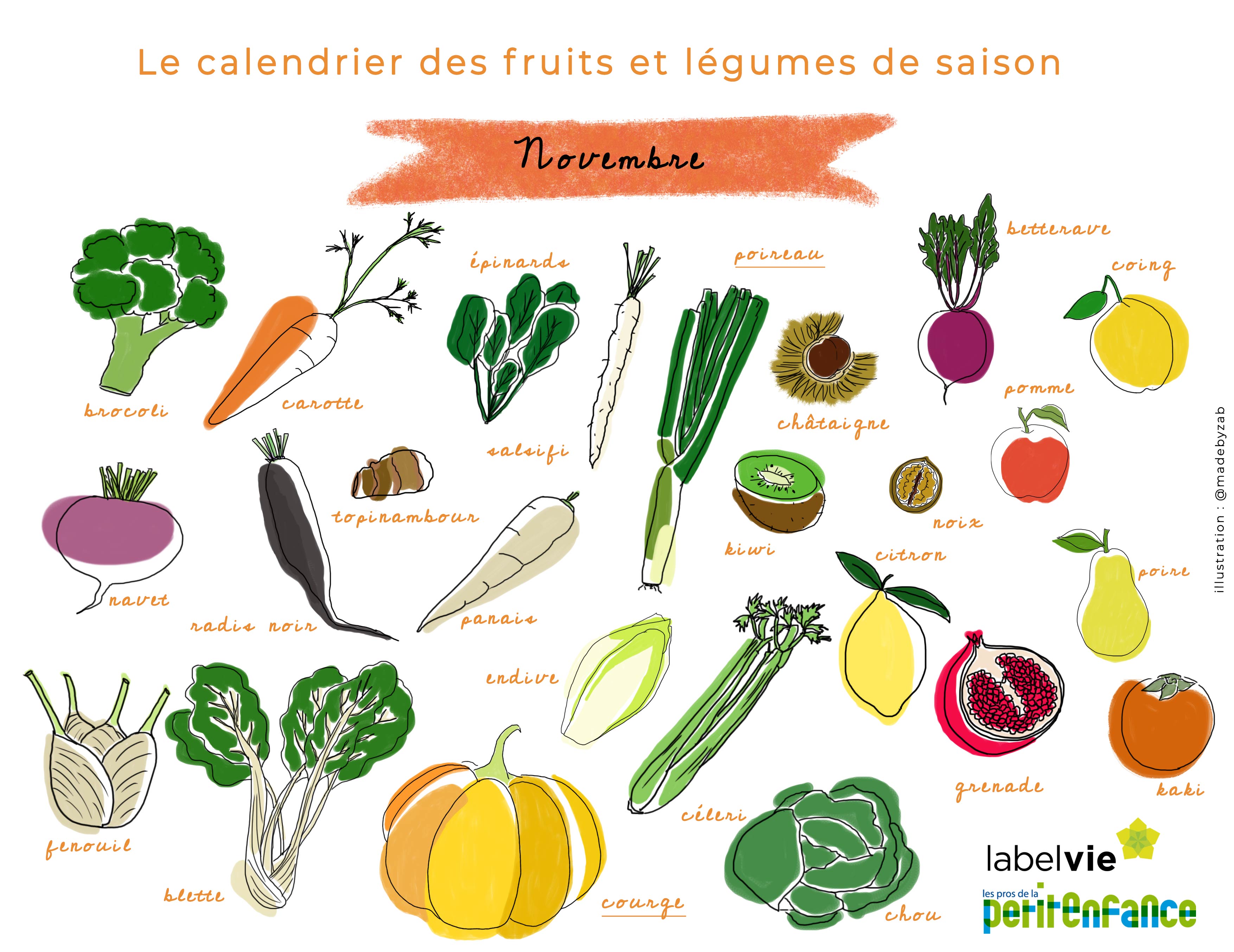 Le calendrier des fruits et légumes de Novembre : courge et poireau à  l'honneur !