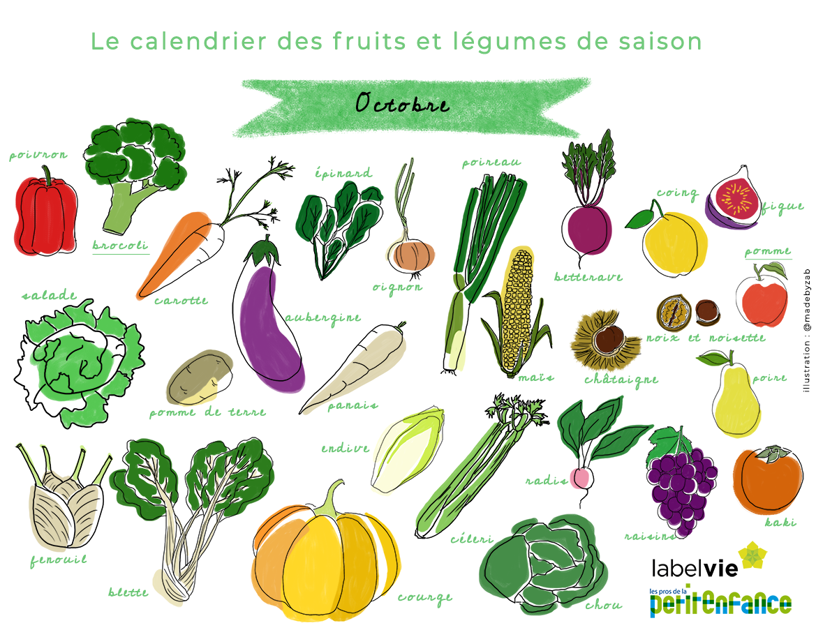 Le calendrier des fruits et légumes d'Octobre : brocoli et pomme à  l'honneur !