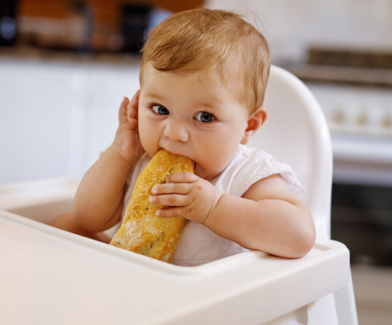 bébé qui grignotte un quignon de pain
