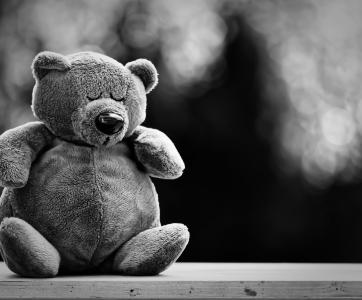 ours en peluche - noir et blanc - pixabay