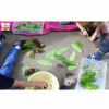 enfants et plantes