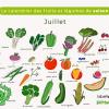calendrier des fruits et légumes de juillet